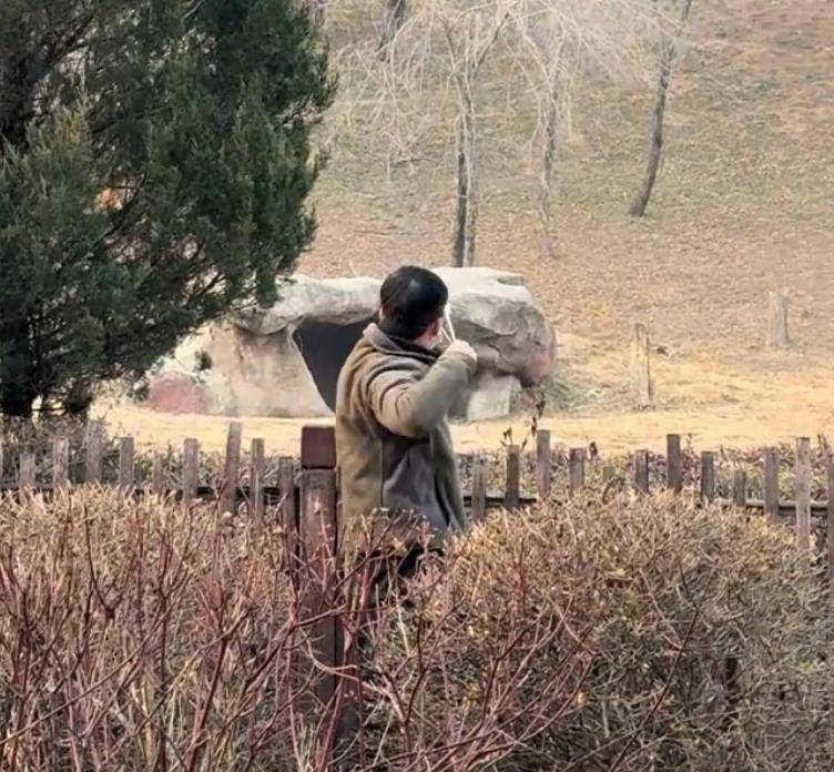 沈阳一男子动物园内用弹弓射老虎，目击者称其“填装了弹丸”，打完后老虎爬起来了，园方：正在核实情况