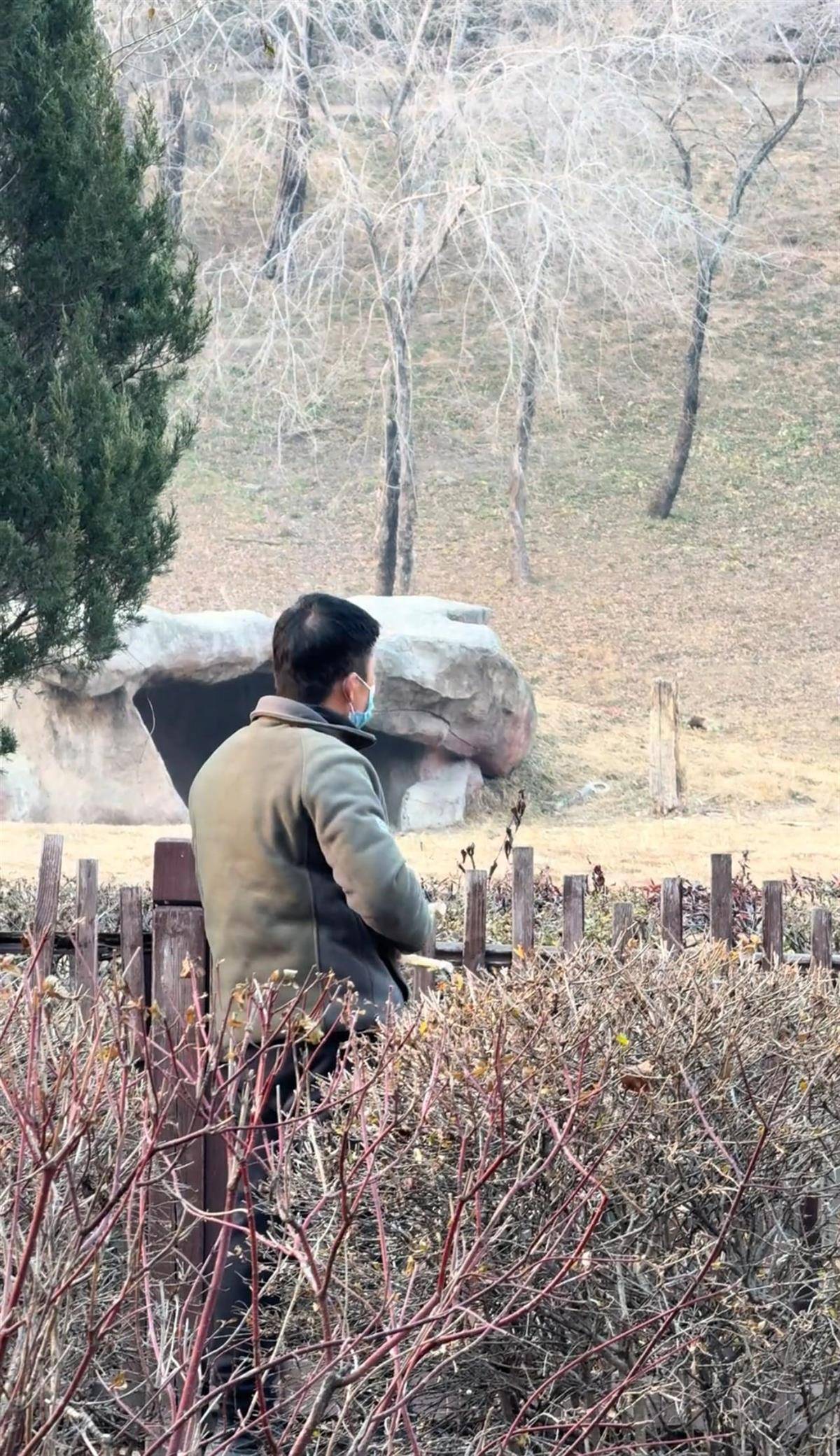 沈阳一男子动物园内用弹弓射老虎<strong></p>
<p>一键哥虚拟币</strong>，目击者称其“填装了弹丸”，打完后老虎爬起来了，园方：正在核实情况