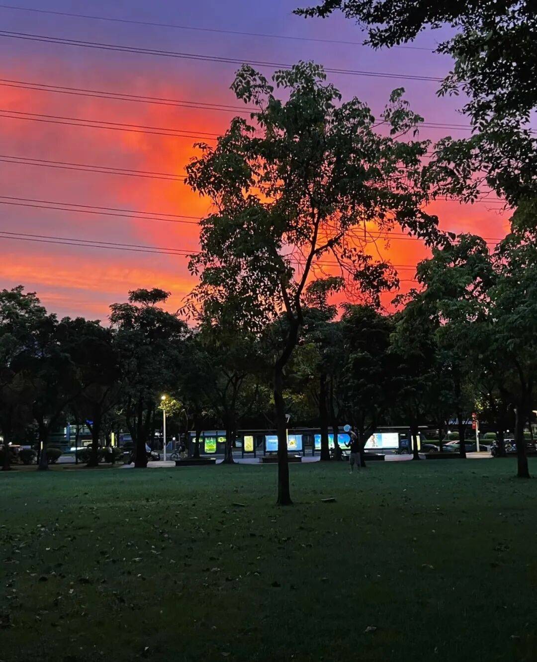 第一批丁克老后<strong></p>
<p>一键哥虚拟币</strong>，“伴侣能陪一程，但最后都要靠自己”