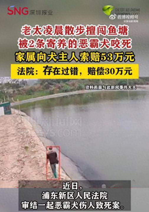 老太凌晨擅闯鱼塘被2条恶霸犬咬死，家属索赔53万，法院判决！