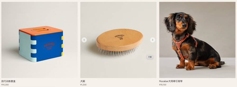 爱马仕新上架2万元不锈钢狗碗<strong></p>
<p>CJL虚拟币</strong>，客服：只剩少量库存