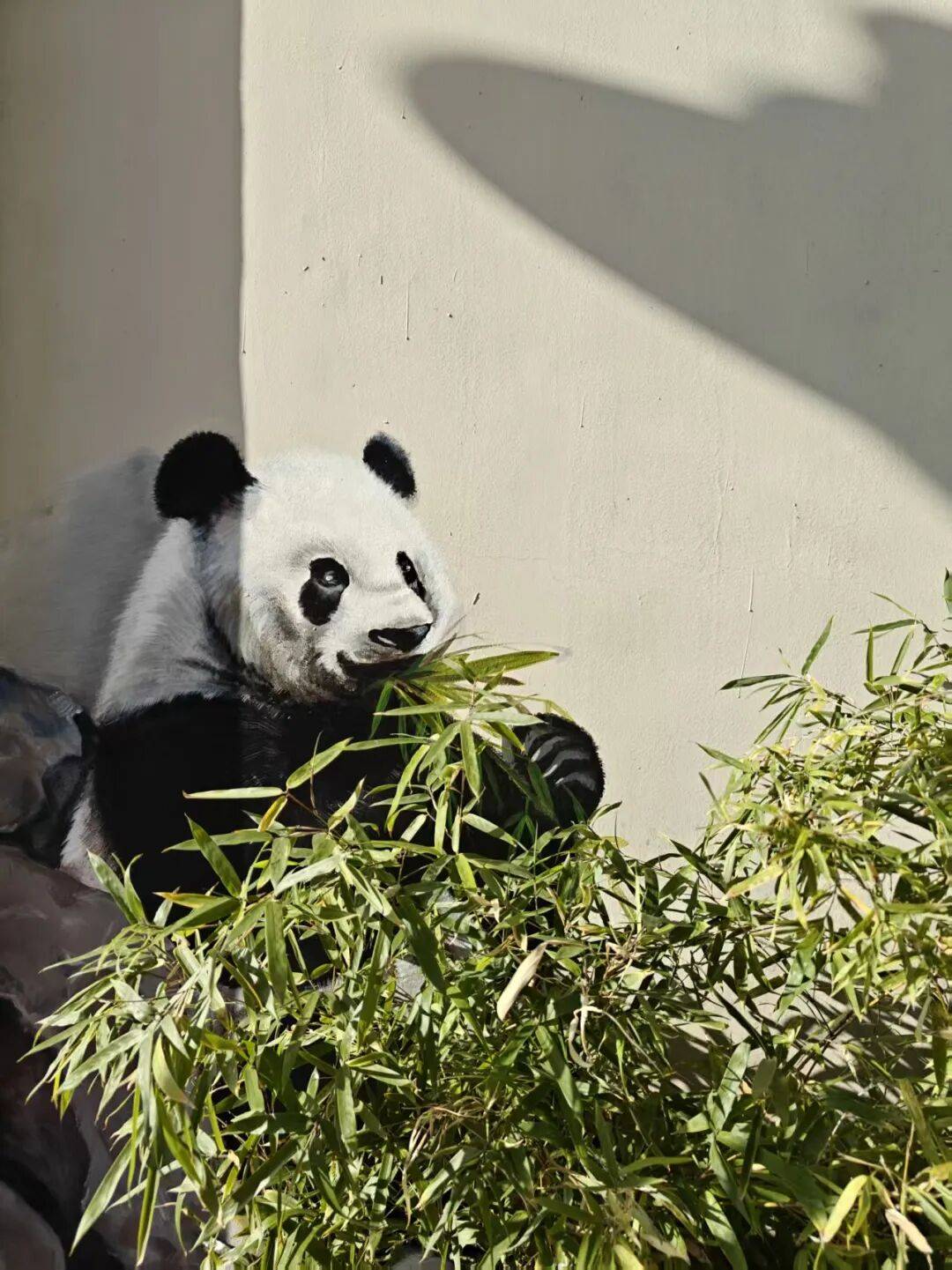 “颜值”出圈 天津和平区独山路这面彩绘墙“亮”<strong></p>
<p>bvv虚拟币</strong>了