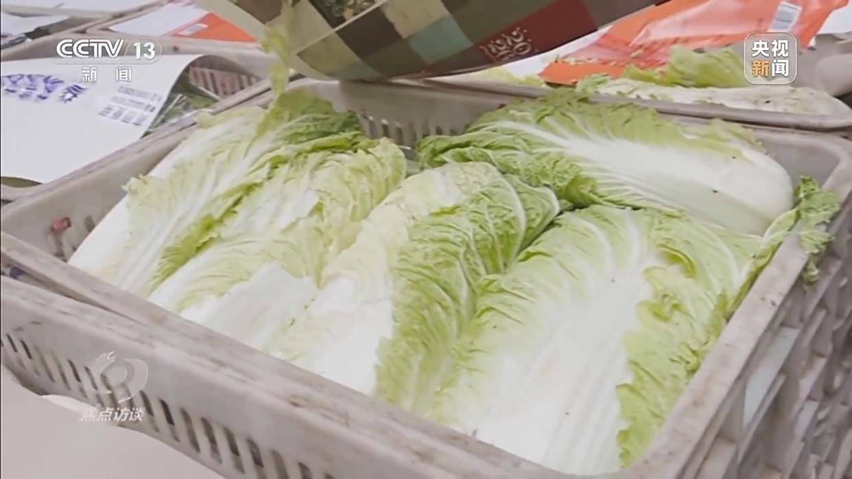 单棵售价超百元<strong></p>
<p>虚拟网领币</strong>，起底“套牌白菜”背后的销售套路