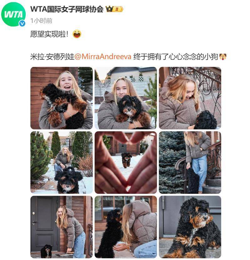 “小米辣”终于有了自己的小狗！曾说养狗是赢球的动力<strong></p>
<p>虚拟网领币</strong>，WTA官方发“贺信”：愿望实现啦！
