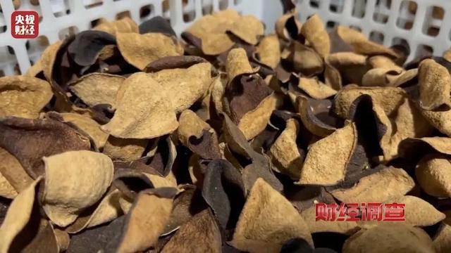 30天速成陈皮<strong></p>
<p>牛玩的虚拟币</strong>，成本仅70元，利润超成本10倍以上！央视起底陈皮跨省造假产业链