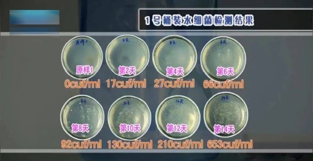 6种东西<strong></p>
<p>牛玩的虚拟币</strong>，没过保质期就“坏了”？赶紧看看，别拿全家健康开玩笑