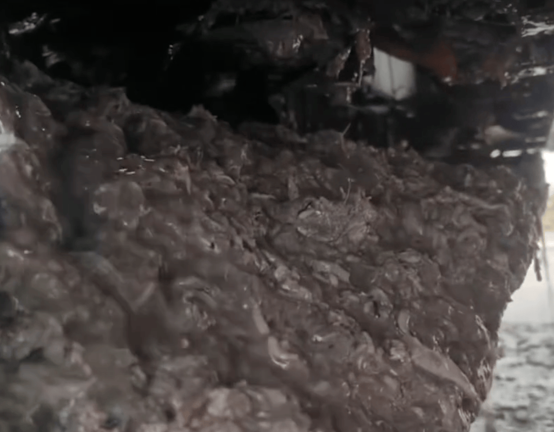 紫牛头条｜40余车辆遭高速海鲜废料“臭袭”<strong></p>
<p>虚拟币有公网</strong>，交警称“非交通事故”，车主维权陷两难