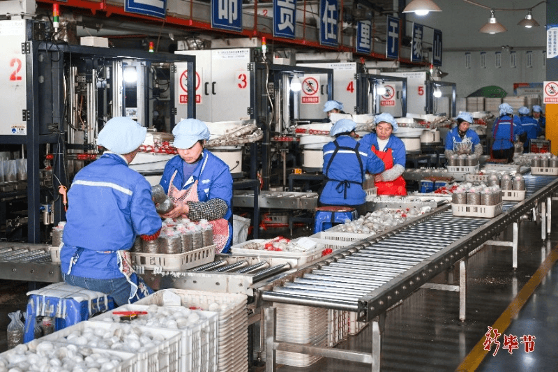 科技创新与产业发展“比翼双飞”