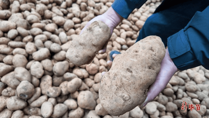 科技创新与产业发展“比翼双飞”