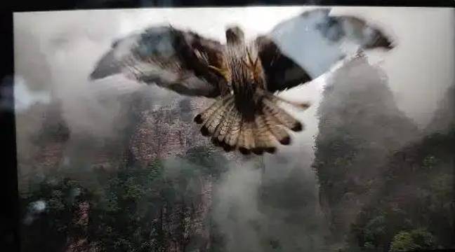 土耳其老鹰空中抓走无人机<strong></p>
<p>虚拟币美金</strong>,带上山顶“玩自拍”