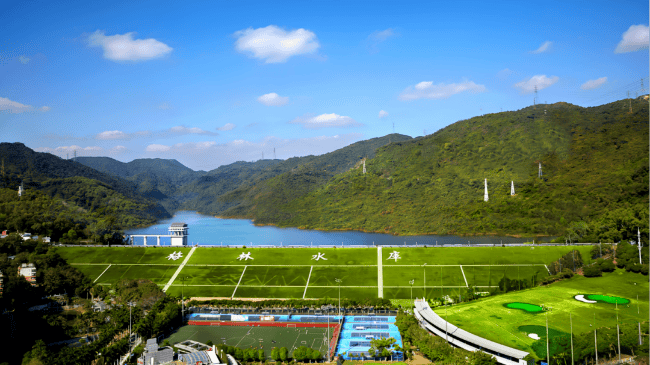 深圳一条路的路灯竟被官方“故意调暗”<strong></p>
<p>虚拟币群聊</strong>！原因很特别……