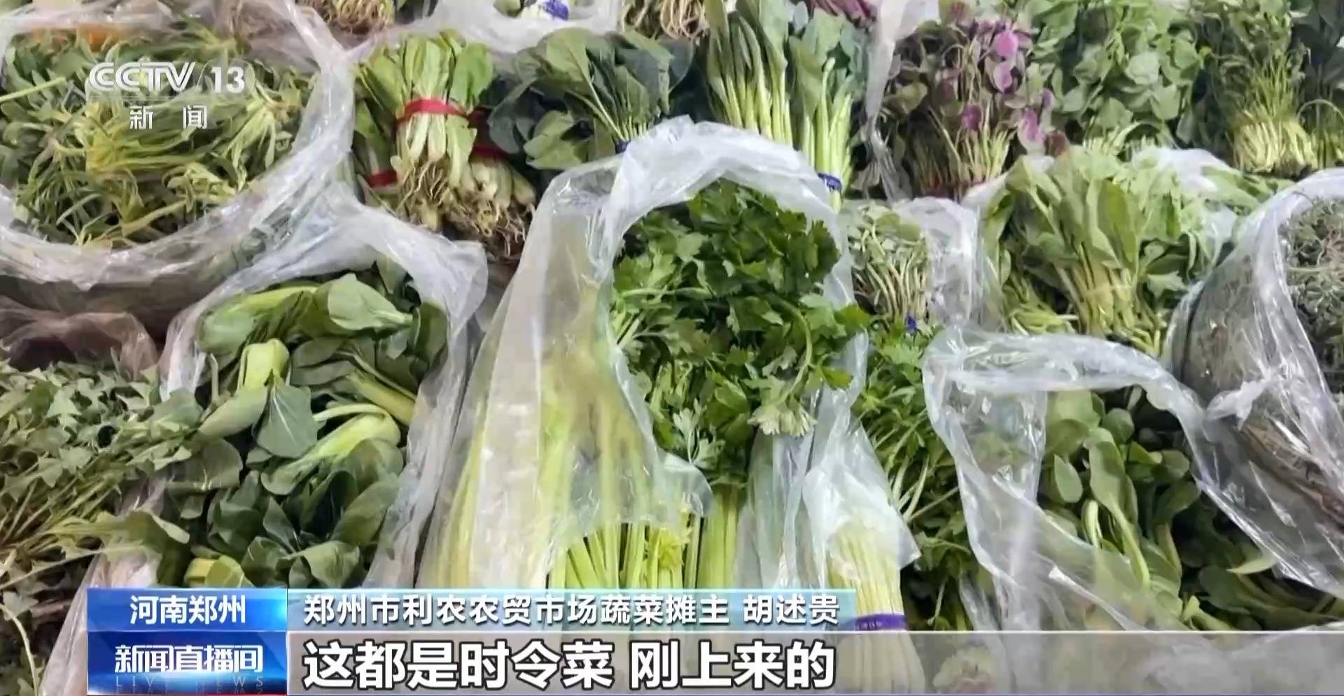 蒸、煎、拌、酿……一口鲜菜如何“锁”住春天<strong></p>
<p>虚拟币挤兑</strong>？