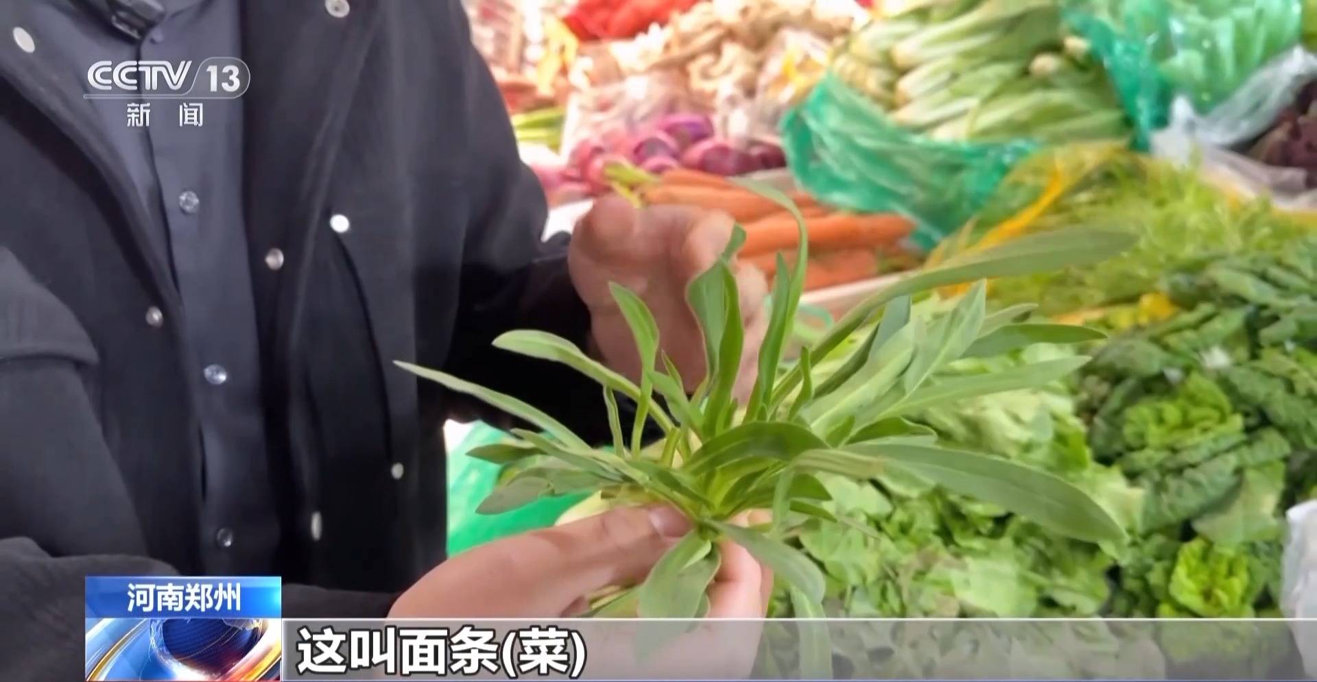 蒸、煎、拌、酿……一口鲜菜如何“锁”住春天<strong></p>
<p>虚拟币挤兑</strong>？