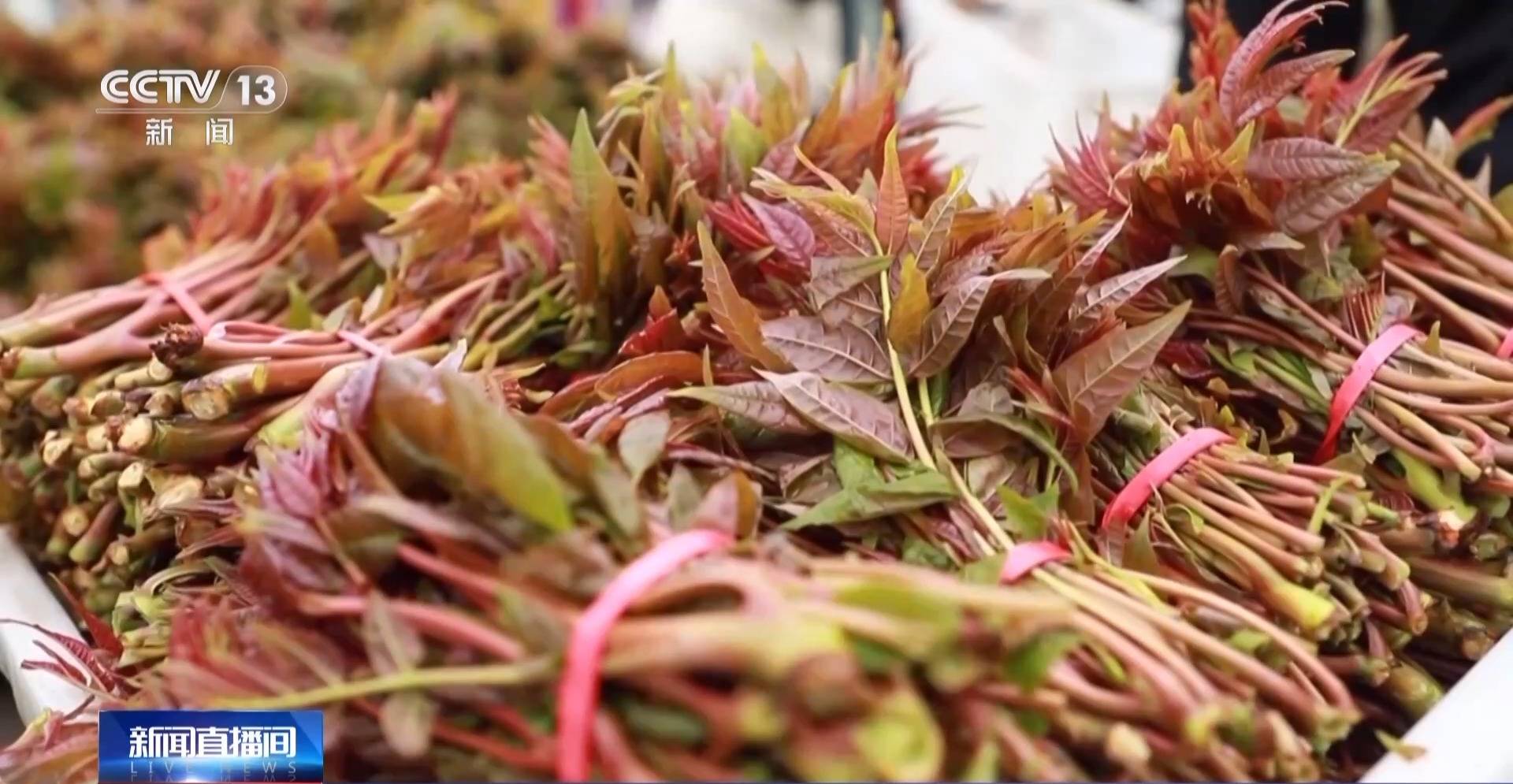 蒸、煎、拌、酿……一口鲜菜如何“锁”住春天<strong></p>
<p>虚拟币挤兑</strong>？