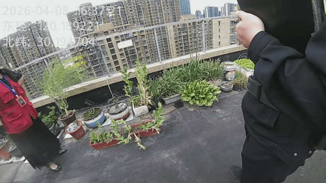 杭州一小区发现35株罂粟！保安巡逻起疑后报警<strong></p>
<p>币印度虚拟</strong>，警方：2位老人在菜盆、花盆混种，隐蔽性极强，分别罚款300元、400元