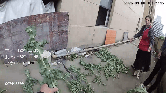 杭州一小区发现35株罂粟！保安巡逻起疑后报警<strong></p>
<p>币印度虚拟</strong>，警方：2位老人在菜盆、花盆混种，隐蔽性极强，分别罚款300元、400元