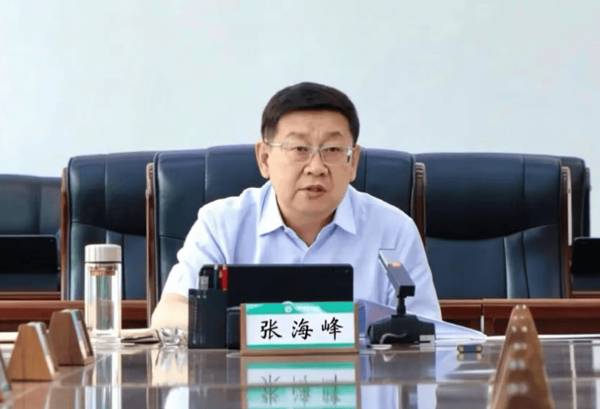 涉嫌严重违纪违法<strong></p>
<p>虚拟币水军</strong>,张海峰被查
