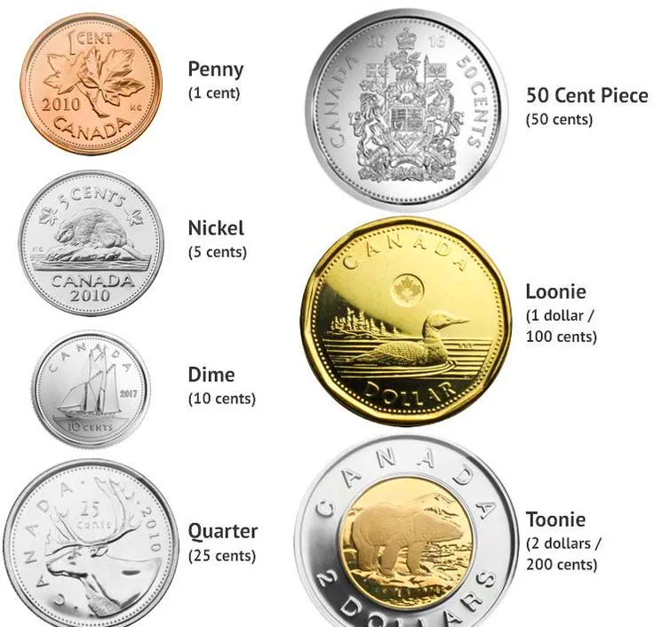 加拿大货币图片(加拿大货币符号图片)